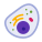 Células Eucarióticas icon