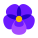 紫罗兰花 icon