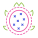 Dragon Fruit icon