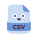 CSV icon