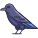 Raven icon