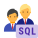 SQLデータベース管理者グループスキンタイプ2 icon