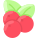 Cranberry icon