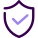 Protection icon