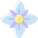 Clematis icon