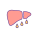 Fatty Liver Disease icon