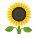 tournesol-emoji icon