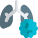 Virus affecting the lungs of a patient with breathlessness icon