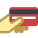 Card Payment icon