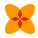 幾何学的な花 icon