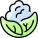 Chou-fleur icon