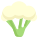 Cauliflower icon