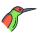 Humming Bird icon