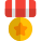 Star circle medal for the marine corps officers icon