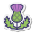 Scottish Thistle icon