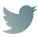 ツイッター icon