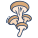 Wild Mushrooms icon