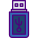 Pendrive icon