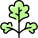 Parsley icon