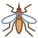 Mosquito icon