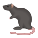 Крыса icon