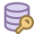 Data Encryption icon