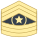 Command Sergeant Major CSM icon