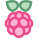 Raspberry Pi icon