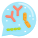 Probiotic icon