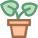 Plante en pot icon