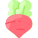 红菜头 icon