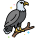 Eagle icon