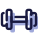 Dumbbell icon