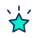 Star icon