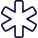 Asterisk symbol used in Medical Science isolated on a white background icon