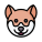 Shiba Inu icon