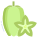 Star Fruit icon