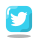 Twitter cuadrado icon
