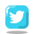 Logo Twitter encadré icon