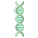 Dna icon