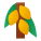 Cacaotier icon