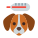 examen-medico-mascotas icon