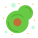 Avocado icon