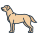 Labrador Retriever icon
