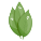 외부-잎-야채-스매싱스톡-플랫-스매싱-스톡 icon