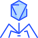 Virus icon