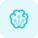 Brain connected to several multiple nodes isolated on a white background icon