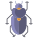 Beetle icon