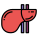 Anatomy icon