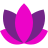 Lotus icon